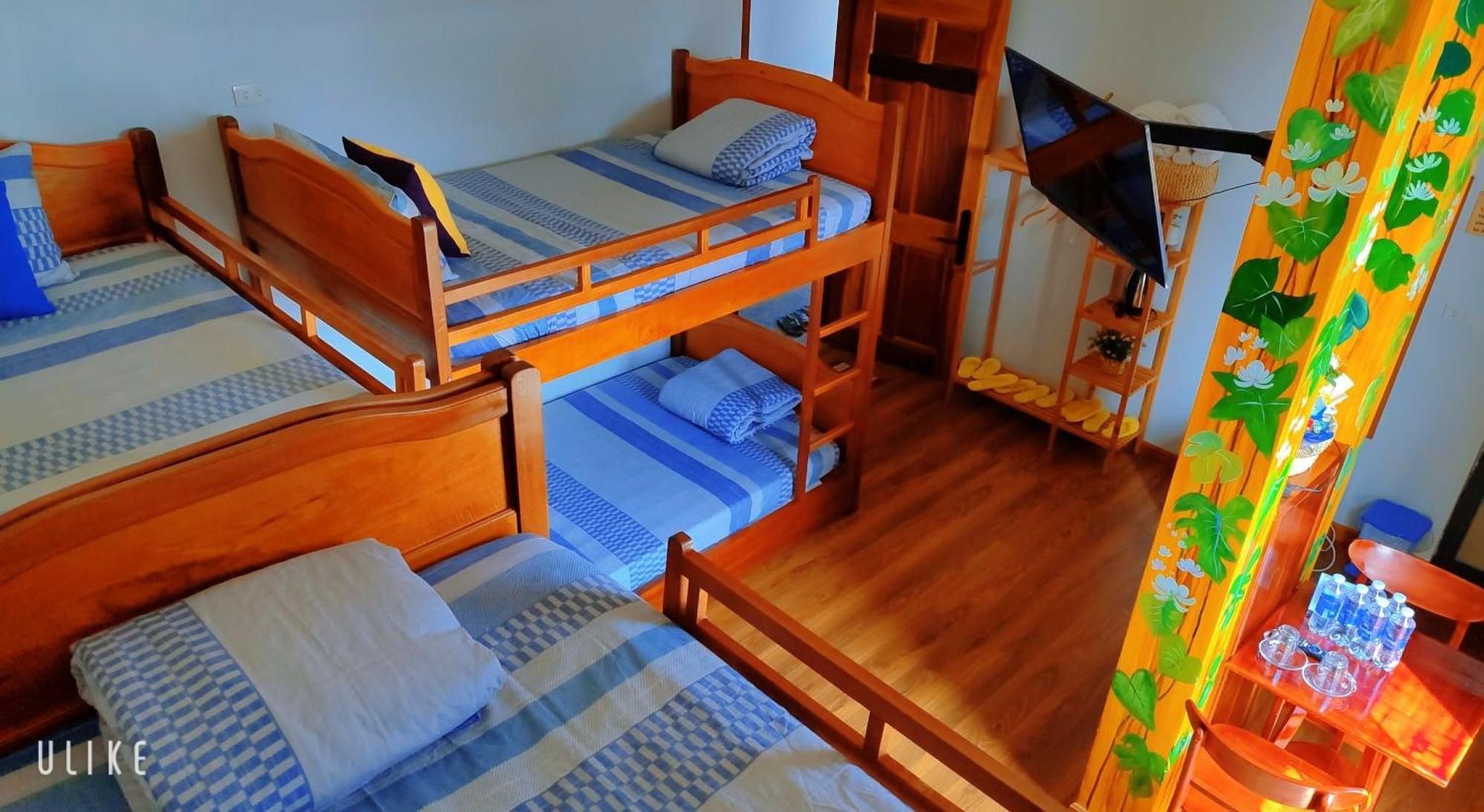 Viet Homestay كوي نون المظهر الخارجي الصورة