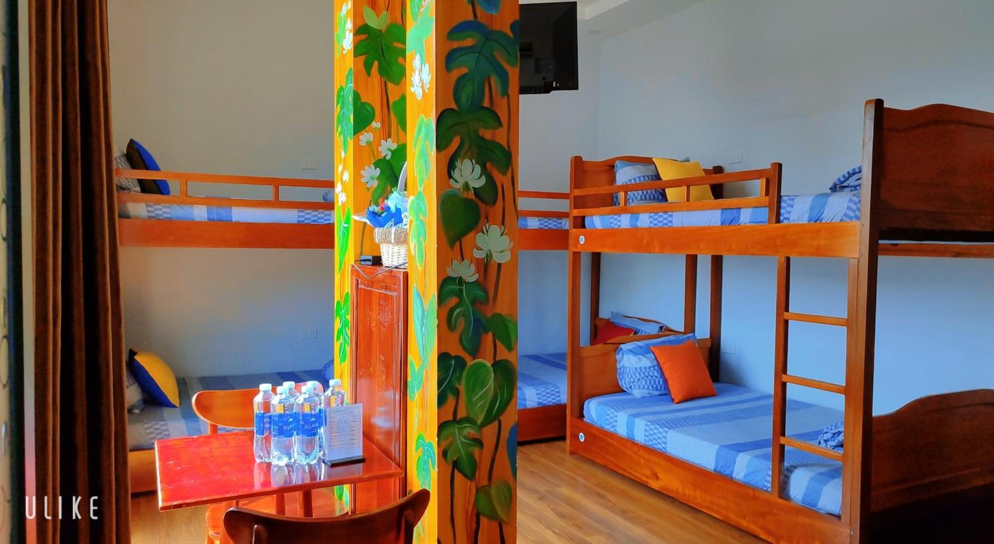 Viet Homestay كوي نون المظهر الخارجي الصورة
